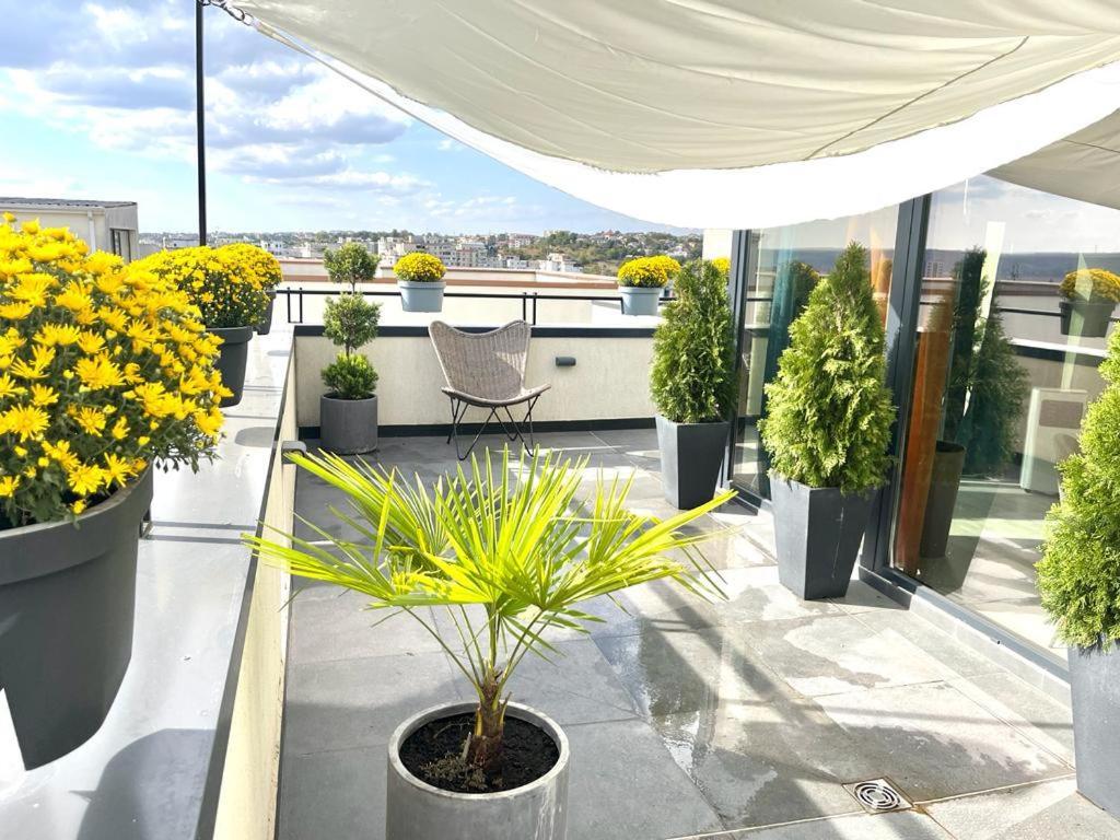 Penthouse Exclusive View , Iasi Apartment Exterior photo